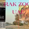 RAK Zoo