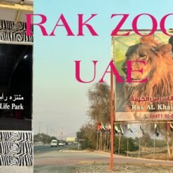 RAK Zoo