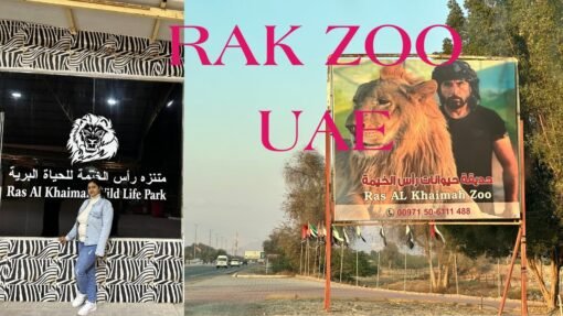RAK Zoo