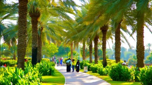Safa Park 2