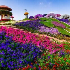 Dubai Miracle Garden
