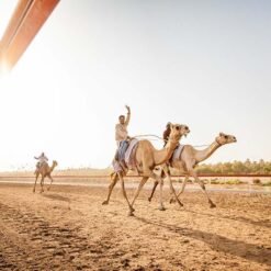 Al Tallah Camel Racecourse