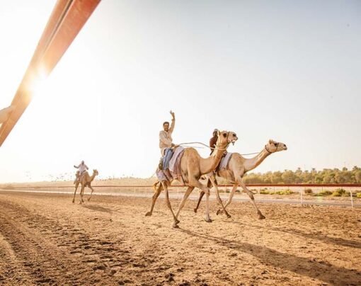 Al Tallah Camel Racecourse
