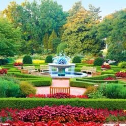 Sharjah Botanical Garden