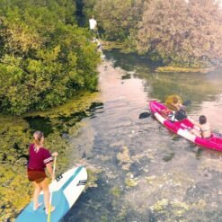 UAQ Mangrove Beach
