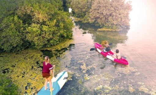 UAQ Mangrove Beach